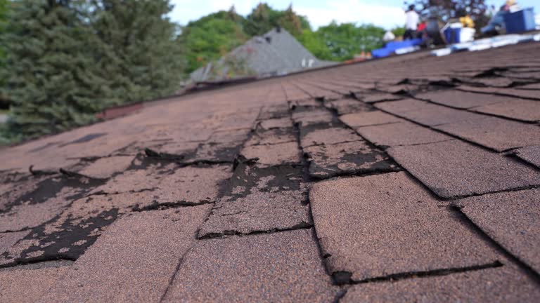 Best Roofing for New Construction  in Whiting, WI